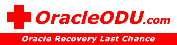 Oracle数据恢复软件!